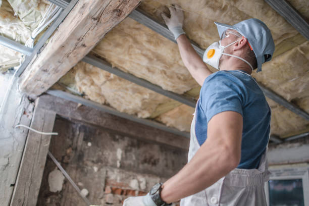 Best Insulation Maintenance and Repair in New Whiteland, IN